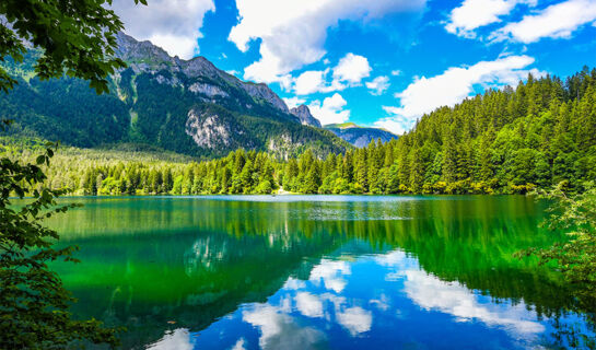 HOTEL FIOR DI BOSCO Giovo