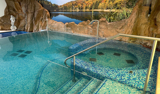 HOTEL FIOR DI BOSCO Giovo