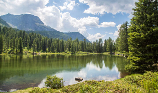 HOTEL FIOR DI BOSCO Giovo