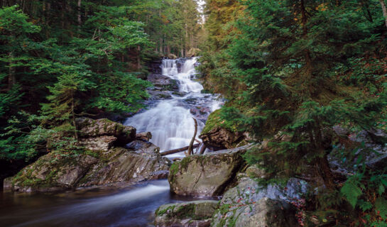 DER WIESHOF St. Oswald-Riedlhütte