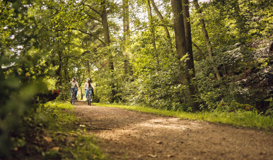 ROMANTIK HOTEL STÖRMANN Schmallenberg