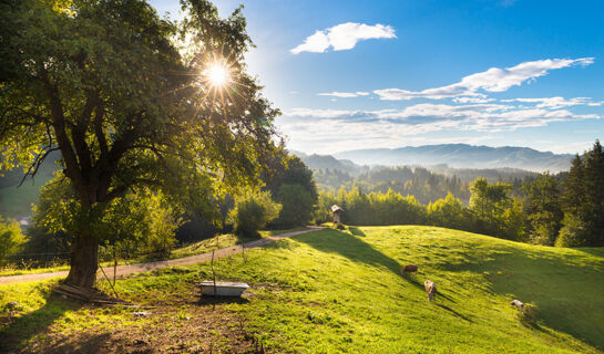 TERME SNOVIK Laze v Tuhinju
