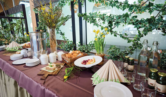 TERME SNOVIK Laze v Tuhinju