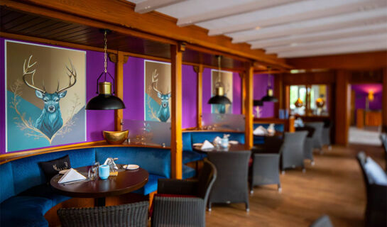 WALDHOTEL BÄRENSTEIN Horn-Bad Meinberg