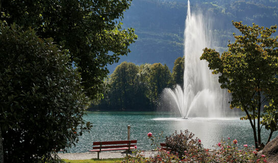 PARKHOTEL SCHWERT Weesen am Walensee