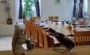 AUBERGE COMMUNALE D'ETOY Etoy