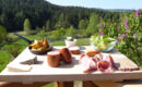 HOTEL LA VIGOTTE Girmont-Val-d'Ajol