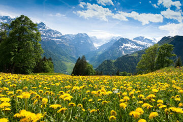 HOTEL CRISTAL Braunwald
