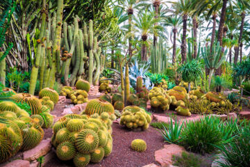 HOTEL HUERTO DEL CURA (B&B) Elche