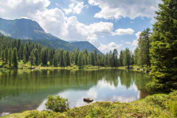 HOTEL FIOR DI BOSCO Giovo