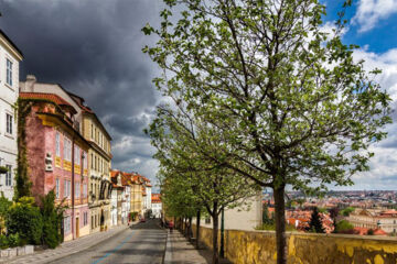 THE KING CHARLES (B&B) Prag