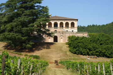 PARK HOTEL TERME Abano Terme