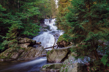 DER WIESHOF St. Oswald-Riedlhütte