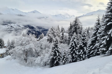 AUBERGE DE L'OURS (B&B) Vex