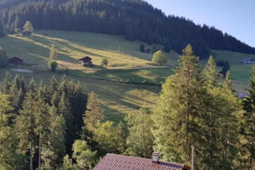 AUBERGE DE LA COMBAL Ormont-Dessous